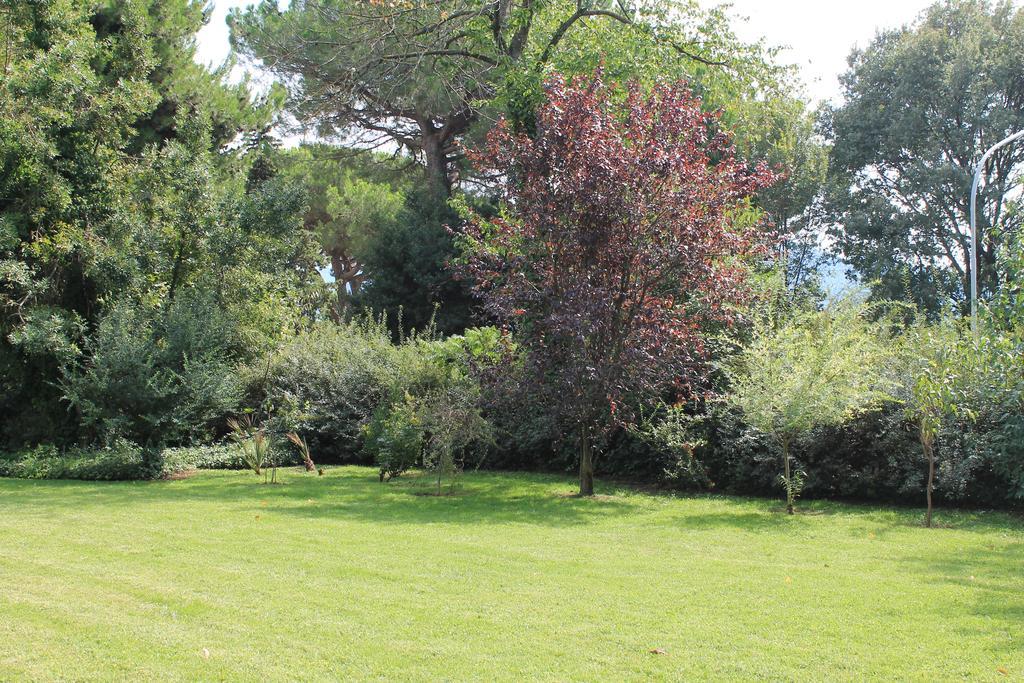 Villa Abbamer Grottaferrata Eksteriør bilde